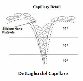 capillare002.gif